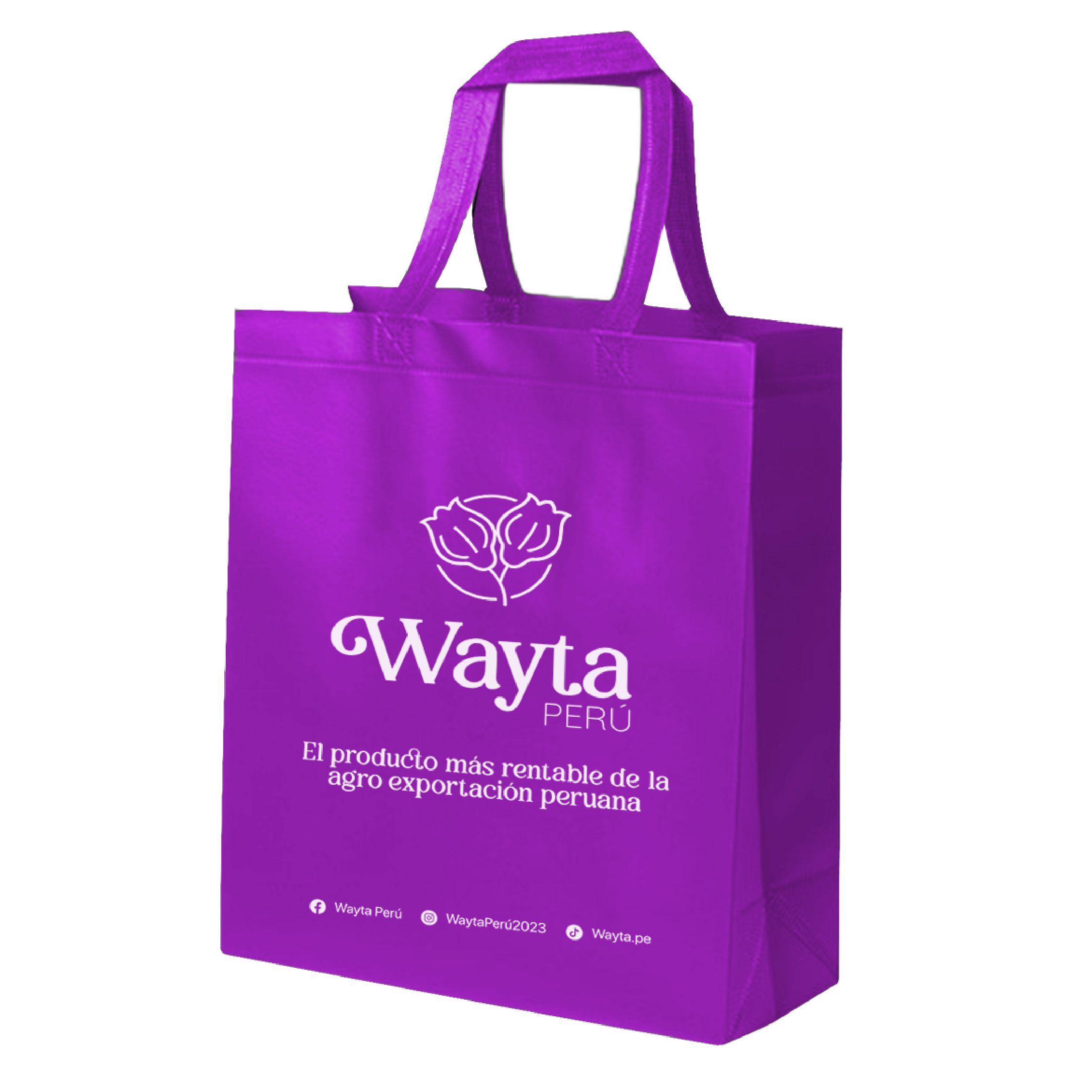 BOLSA-NOTEX-ASA-COLGANTE-35X40X10-004
