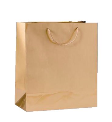 Bolsas de papel liner 200Gr 15X27X10